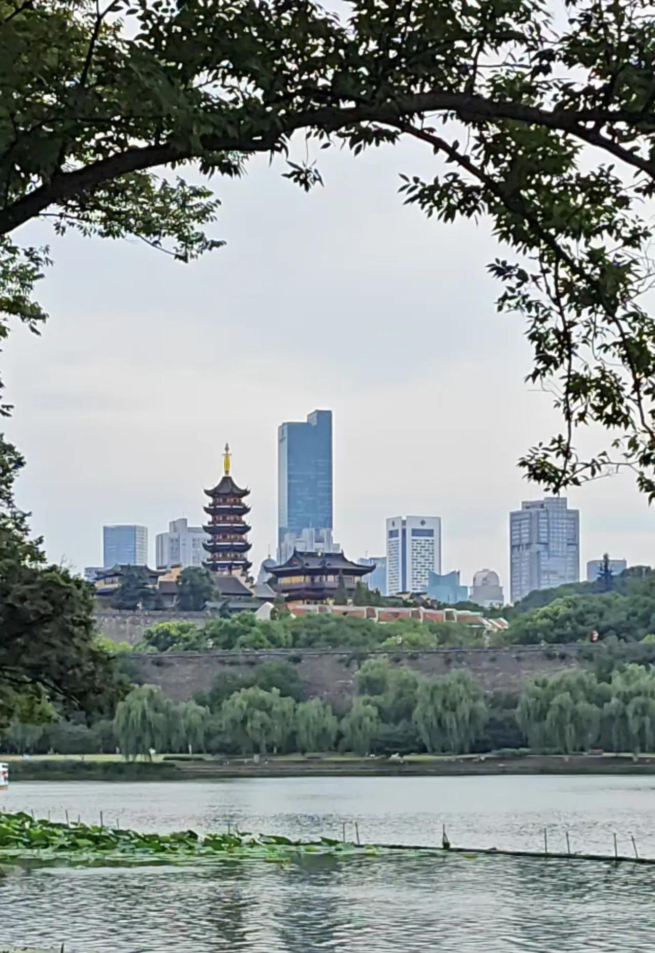 中国的所有一线新一线城市我都去过了，如果从旅游这个角度进行排名，南京，我会把它排