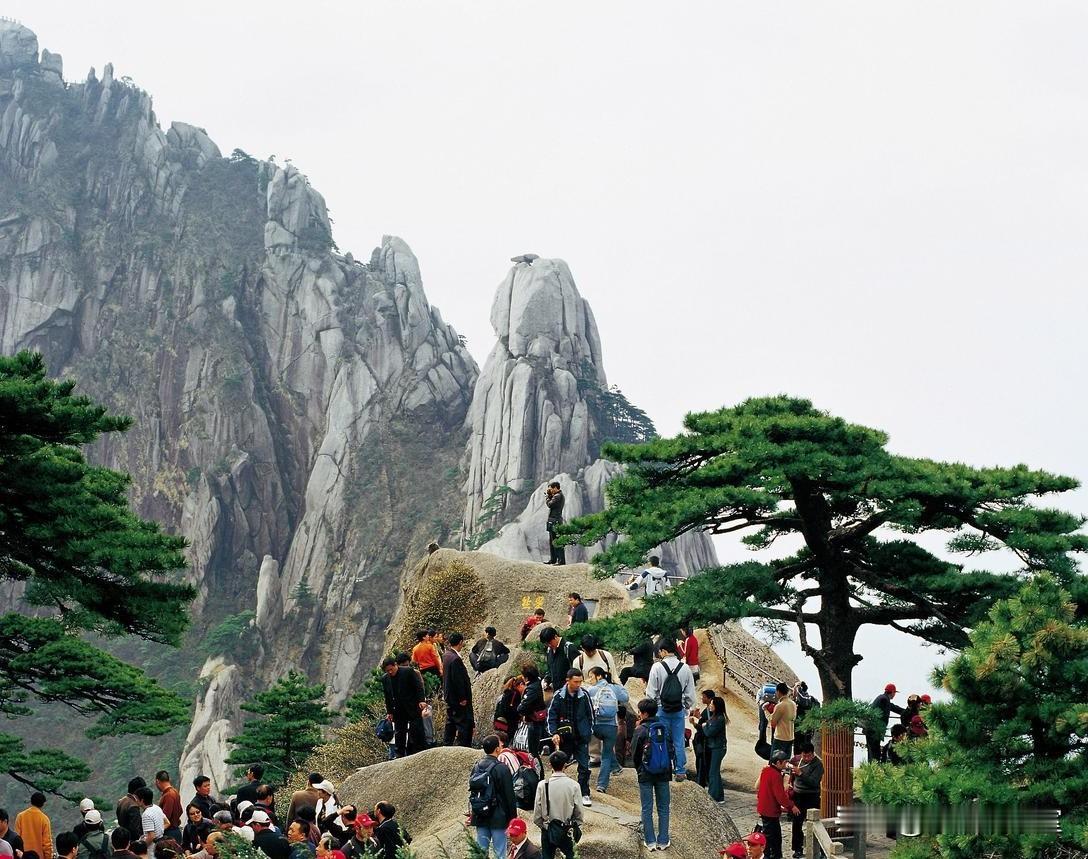 说句易挨骂的实话：黄山、张家界、三清山，真的不该放一起比！很多游客逛完名山