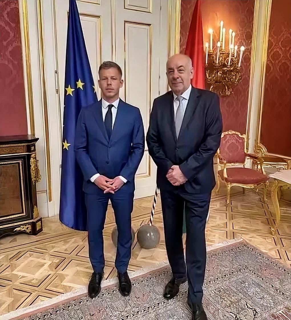 刚当选的匈牙利总理毛焦尔在与匈牙利总统会面后，要求他识相点体面辞职，“如果他不走