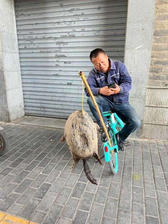 不懂就问，西安人的松弛都这么超前么，遛鳖