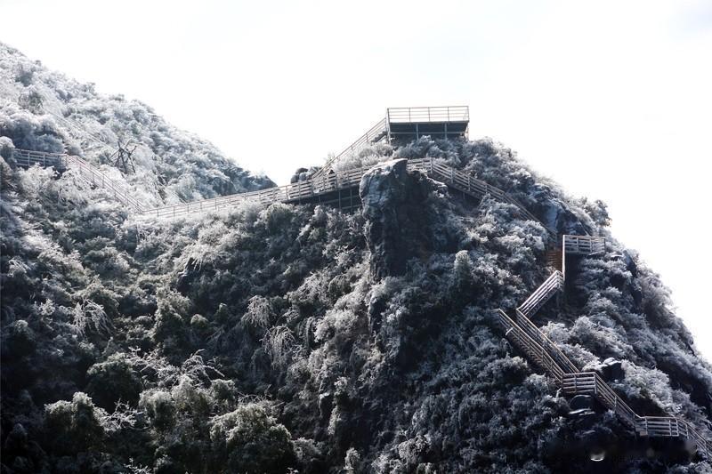 广东的冷和东北的冷有什么不同?广东的冷和东北的冷简直是两个极端。东北是干冷，室