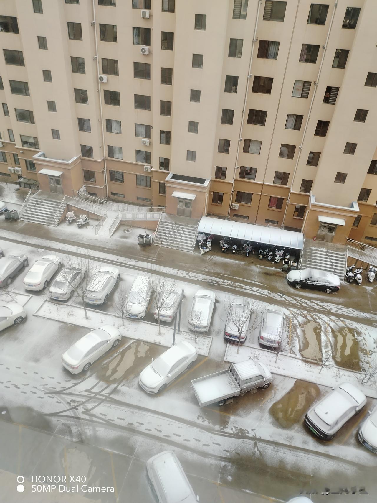 大白菜老公从老家拿来的，特别实，我留了八九颗。包饺子吃！