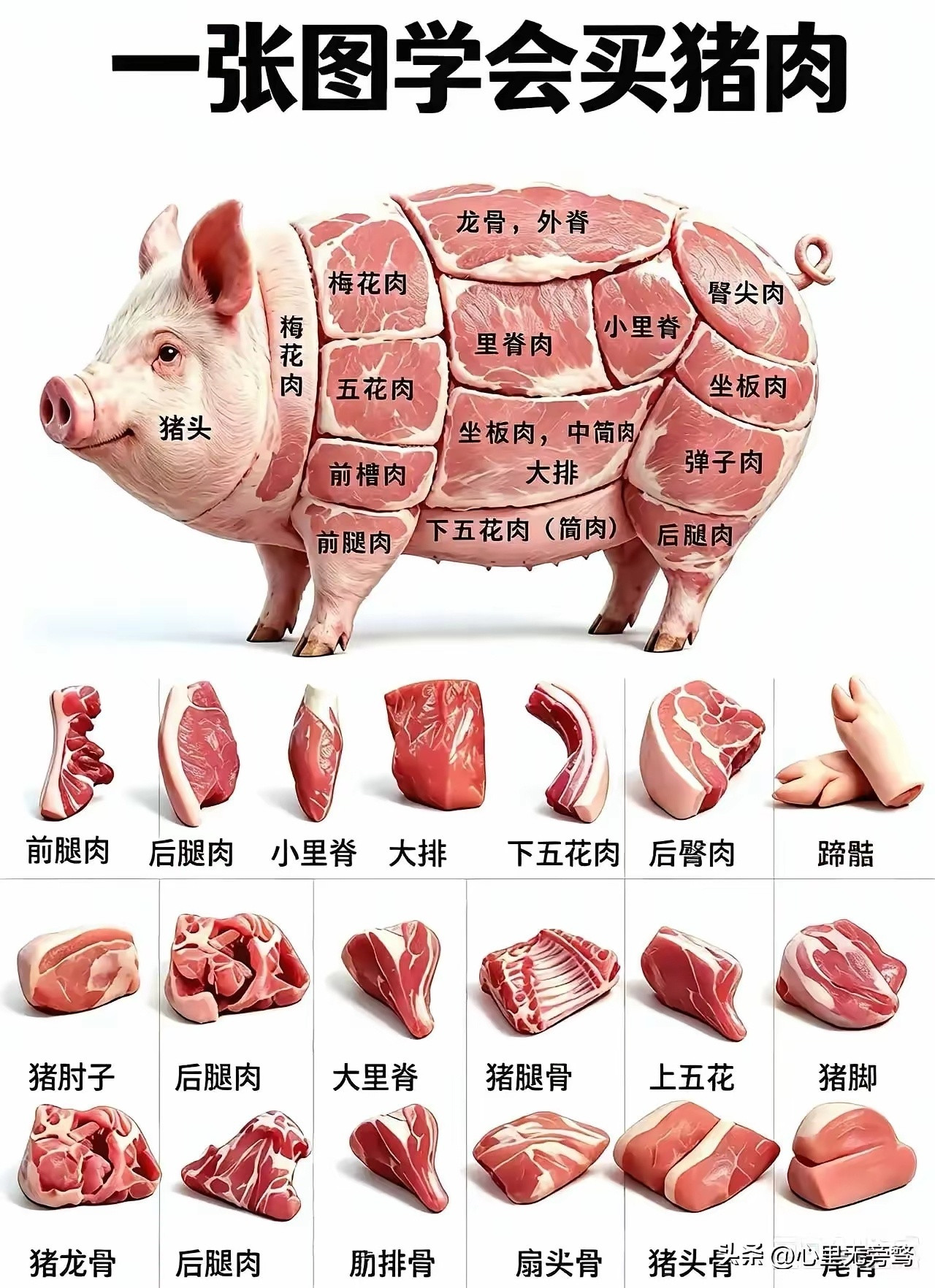 牛肉是真能分类啊，分出了三十种​​​