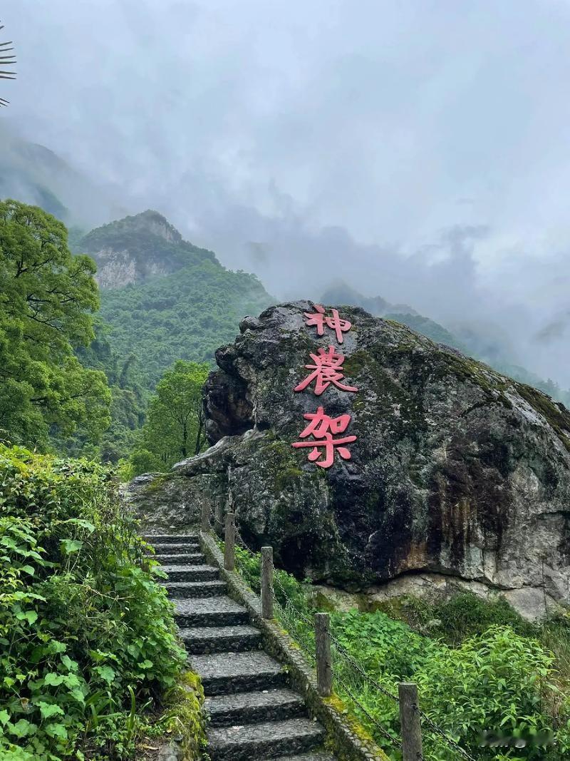 国道变景区收费站引热议！神农架景区正式致歉，过境车辆全面放开通行近日神农架