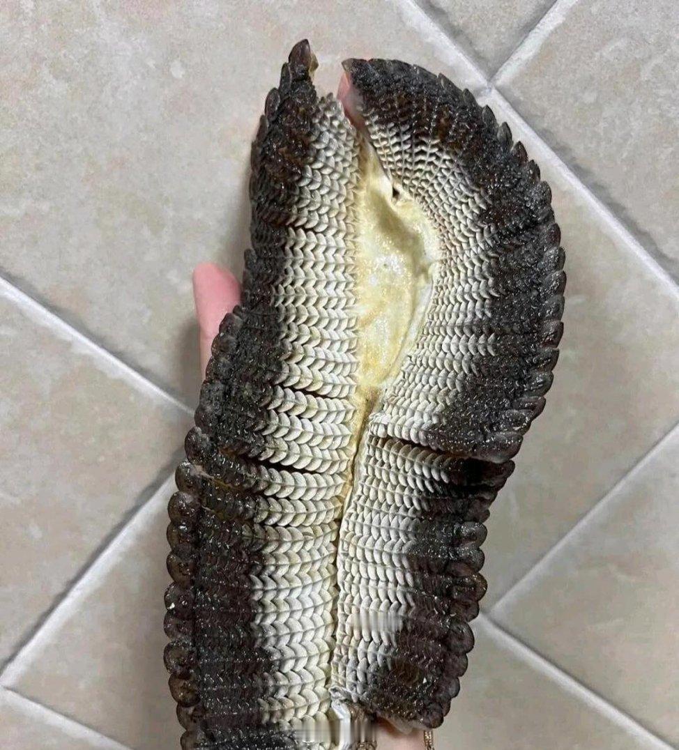 我敢打赌北方人吃过这个美味的不多