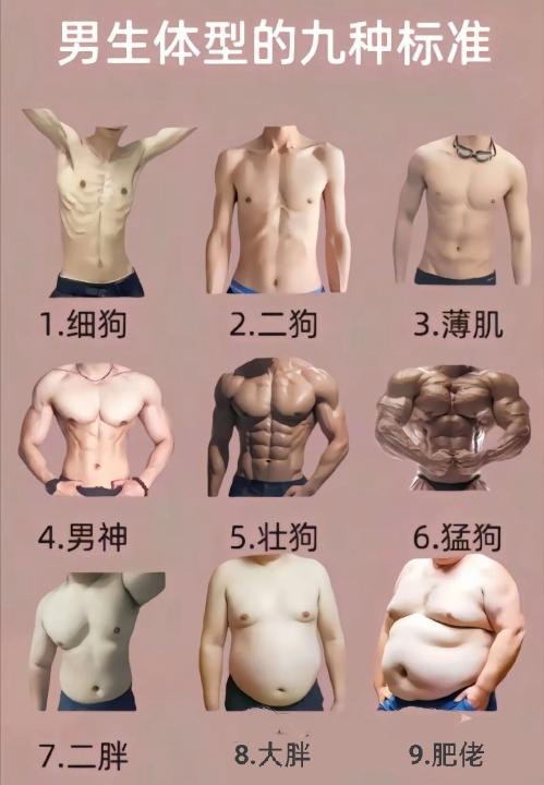 让你选男朋友，你会选哪种体型的？大多人会选3和4吧。