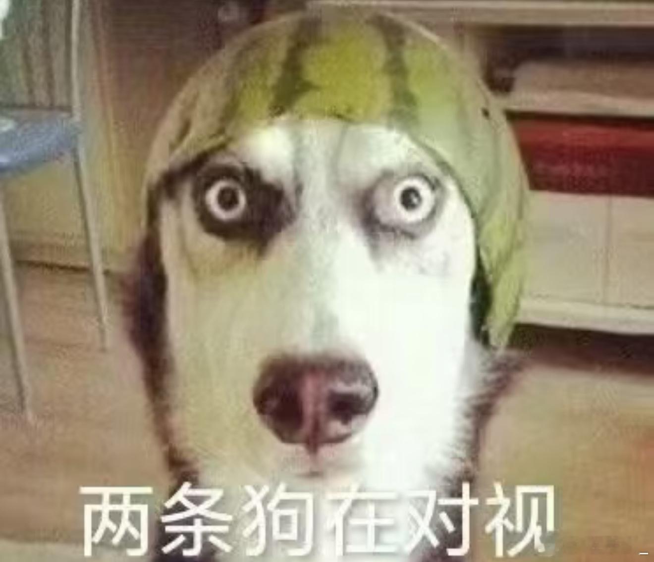 🧱抽一个5.2r我要🈷️人续🔥🐑tie卢关帮我转转属性只有🪑4