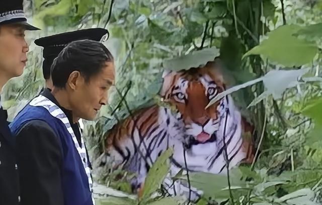 “我没有造假，这是个冤案。”2007年，陕西一老农声称拍到野生华南虎，还获得了2