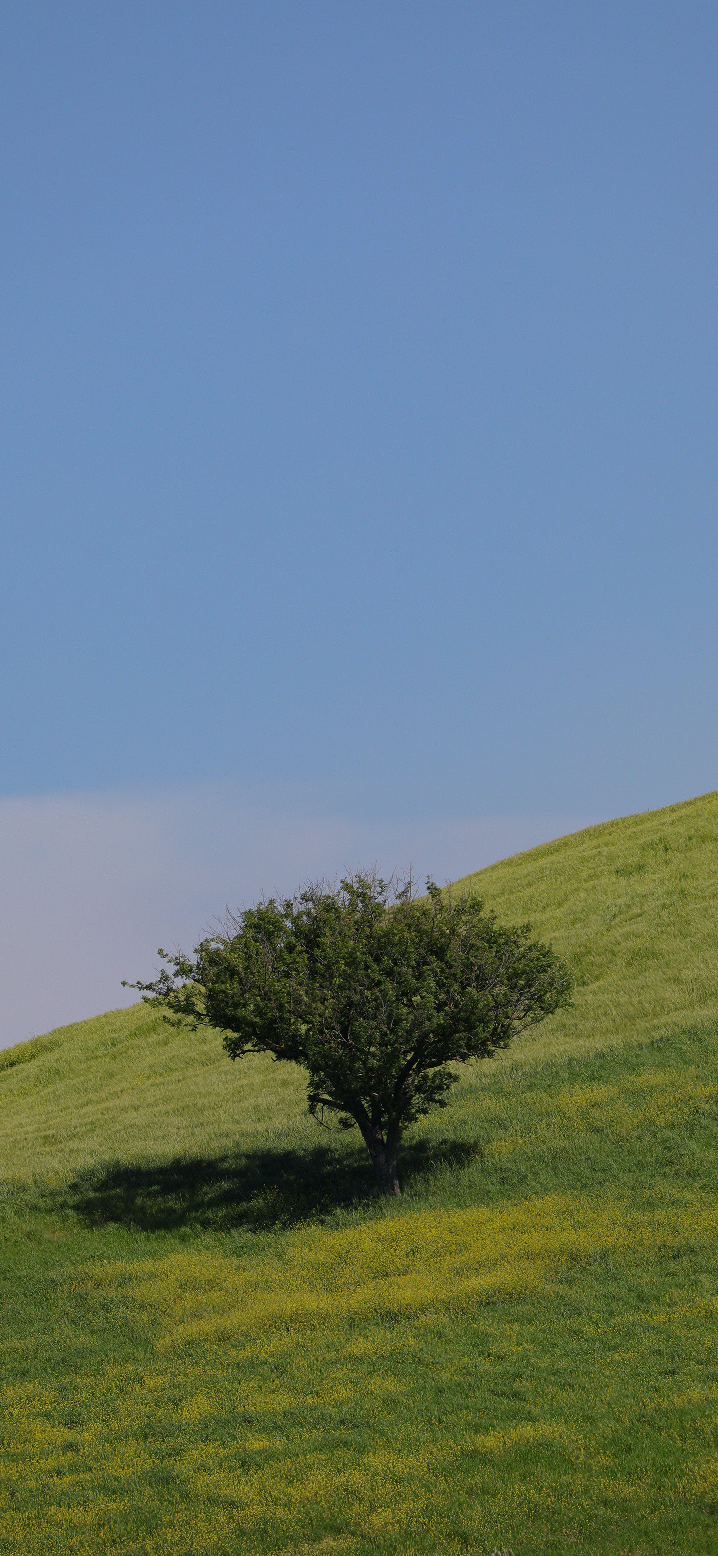 小伙伴们早～今天起晚了