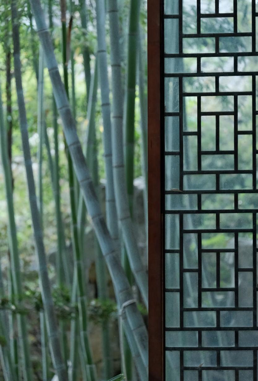 道家有个说法，叫“肉身一场，魂向苍穹”别把今生的苦难，不当回事。也别把眼前的
