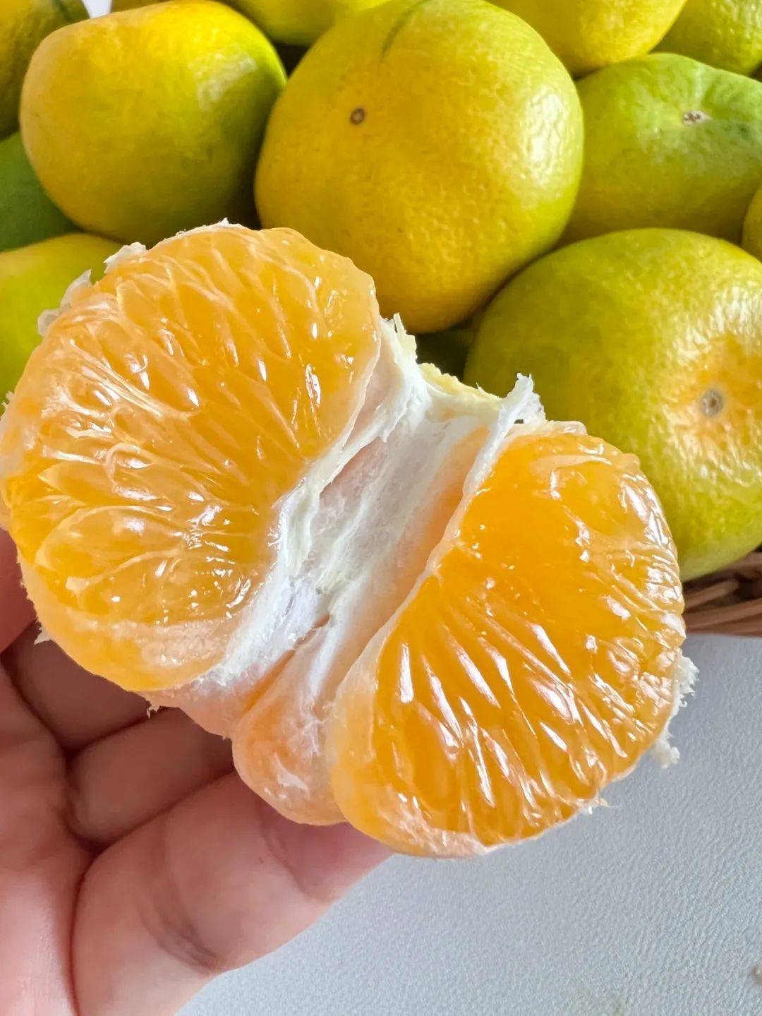 秋天水果寻味，云南无籽蜜桔打卡攻略🍊