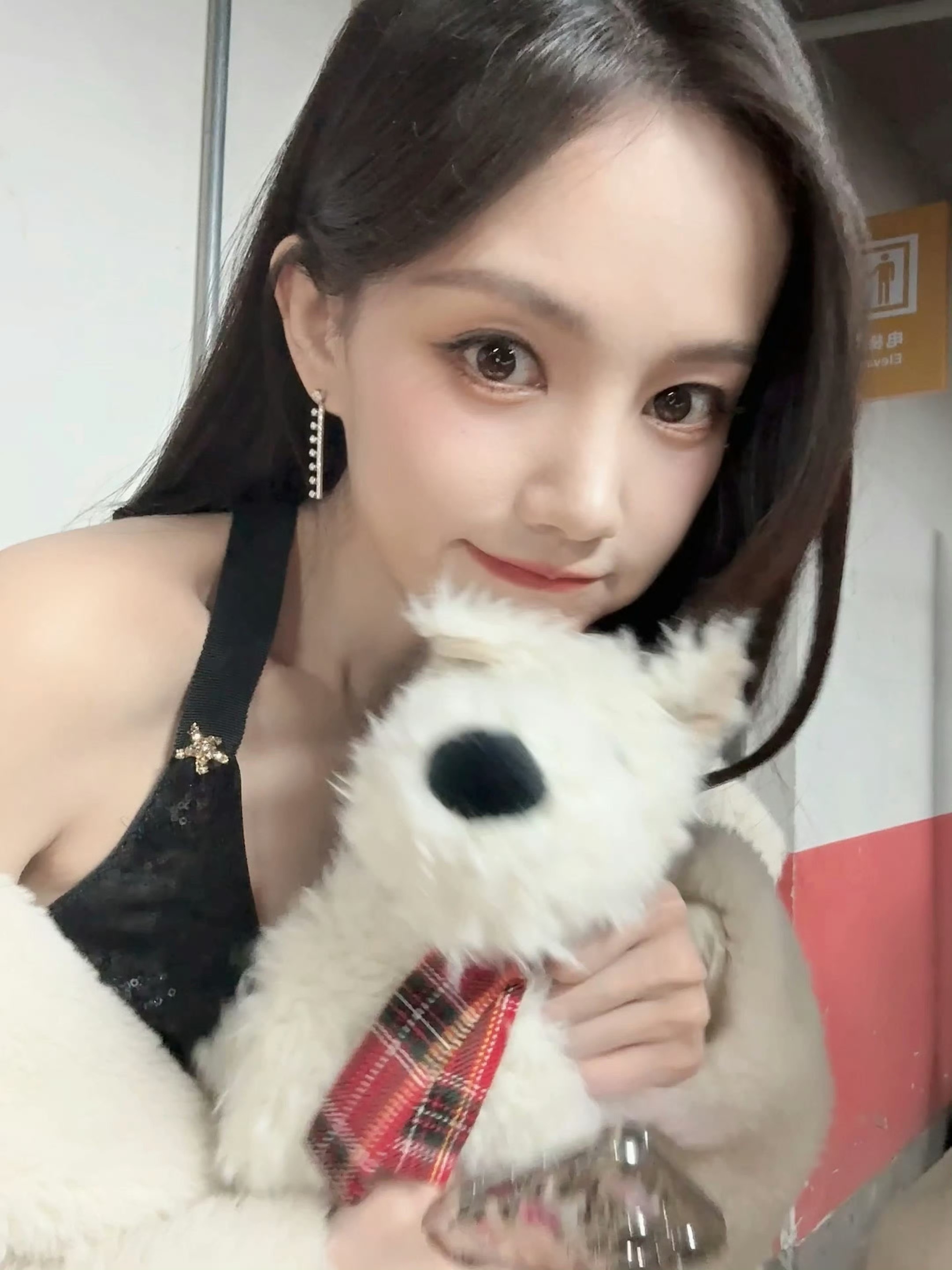 李一桐跳误闯天家投稿【李一桐】欧尼闹木耶啵🫶