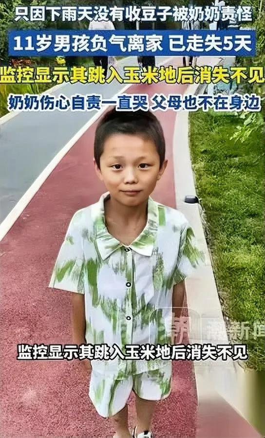 11岁男孩赌气跑进玉米地失踪谁也没想到，这一走就是整整5天，到现在还没找