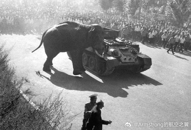 1970年的亚美尼亚首都埃里温，T-34装甲抢修车与一头从动物园越狱的大象对峙，