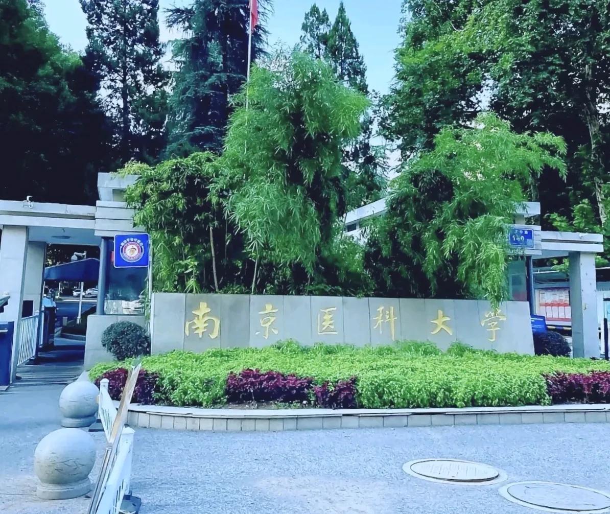 华五里面只有南大和中科大没有医科，不觉得别扭吗？或者说不觉得有些缺憾吗？中科大没
