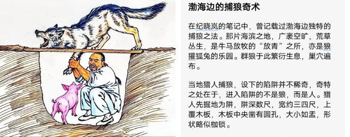 古代黄骅区域的捕狼妙法