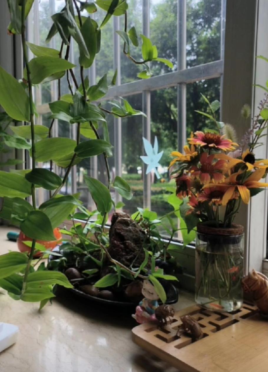 最近我也有点不坚定了，几乎要认为南南的策略快成功了。尽管我大娘有假证假户假作