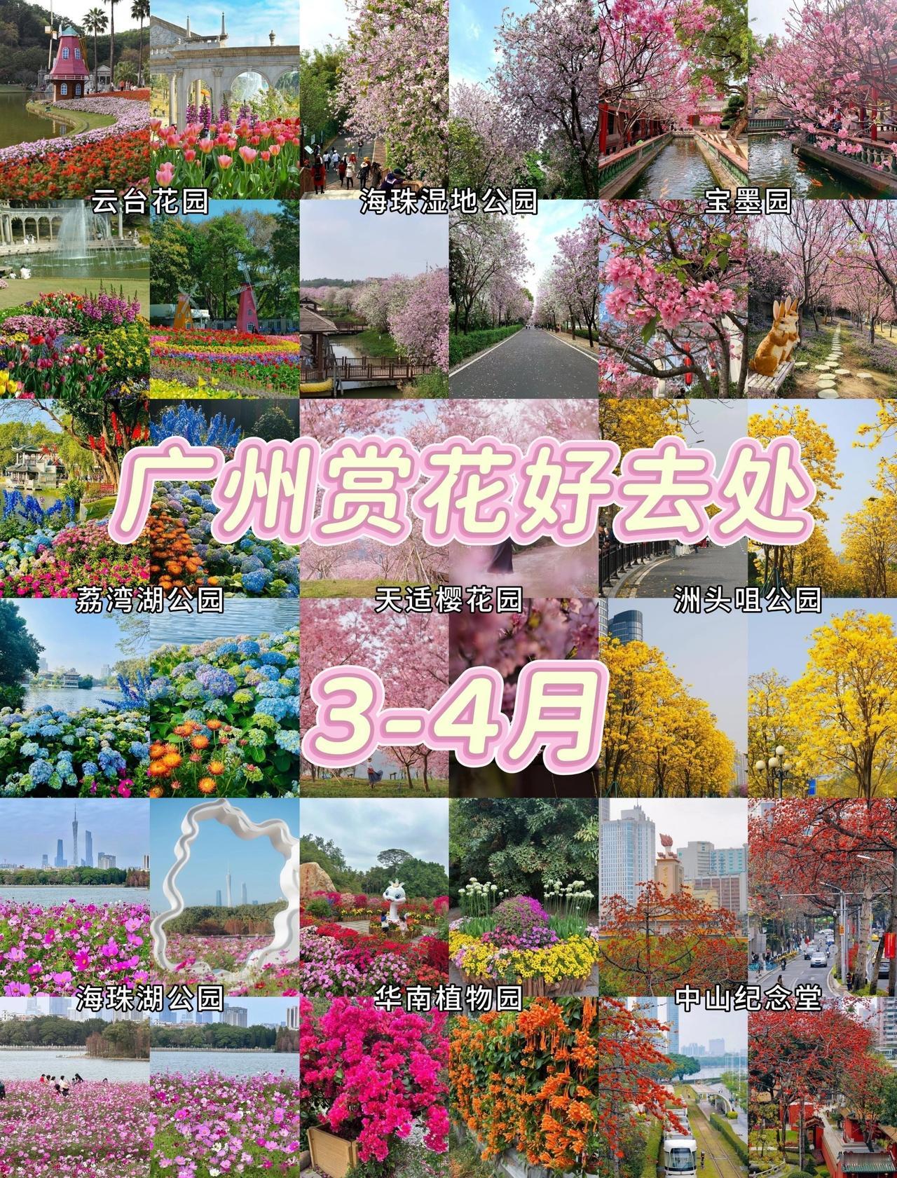 🌸广州春日赏花9大好去处🌸春日遛娃好去处📍广州春日的浪漫，都被花海承