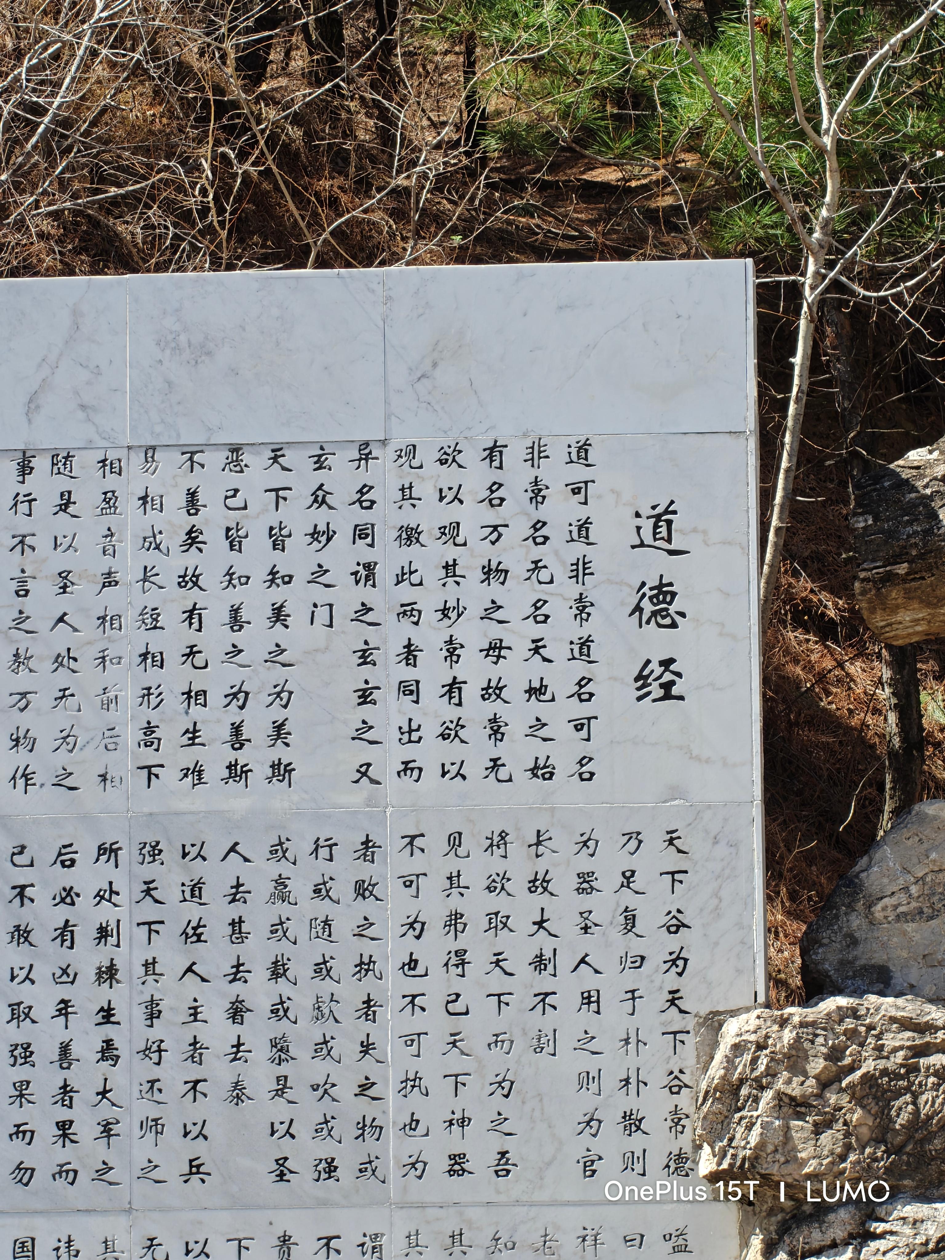 今天你悟道了吗