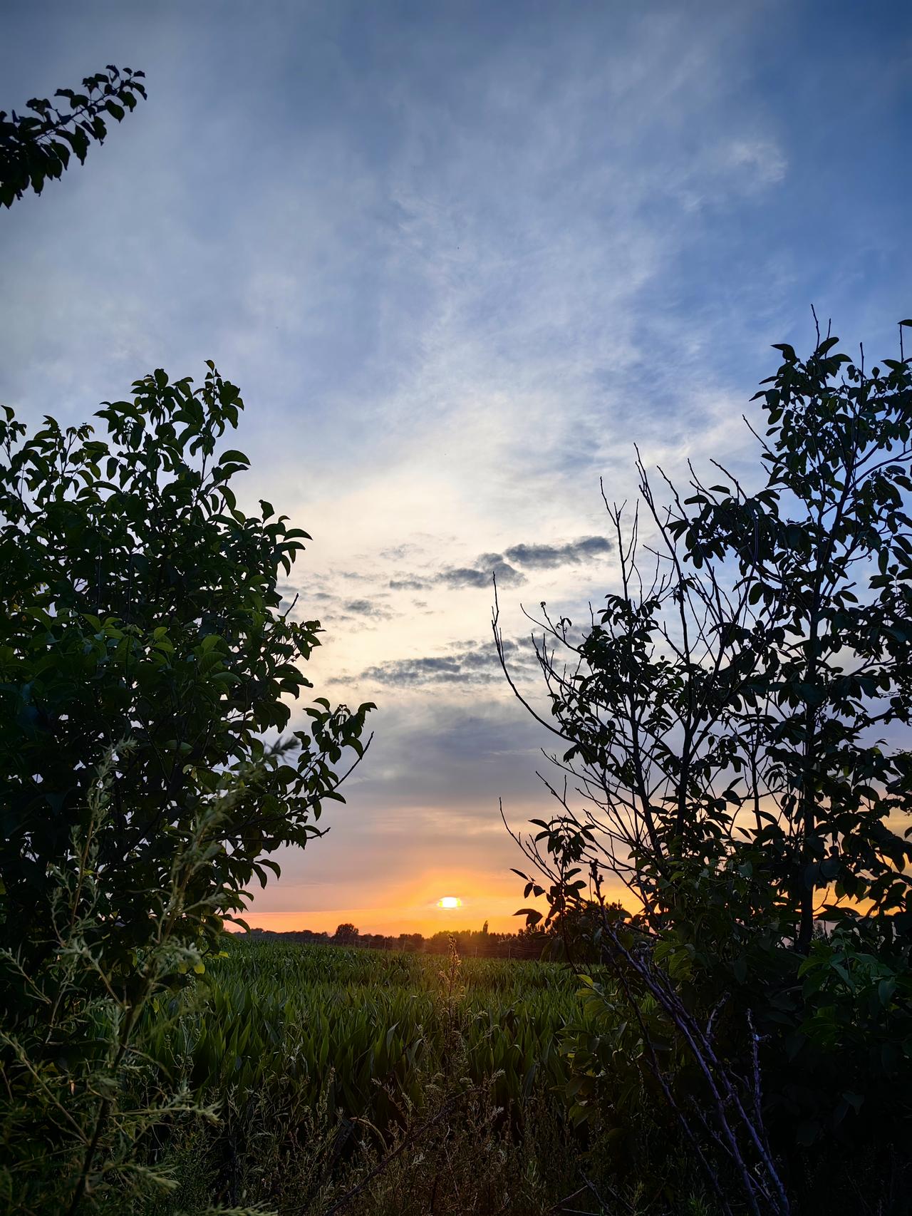 最近网上啊，有一个非常爆火的问题，既然所有的生命都要死亡，那么生命的意义是什么？