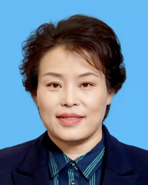 刘峰梅被查