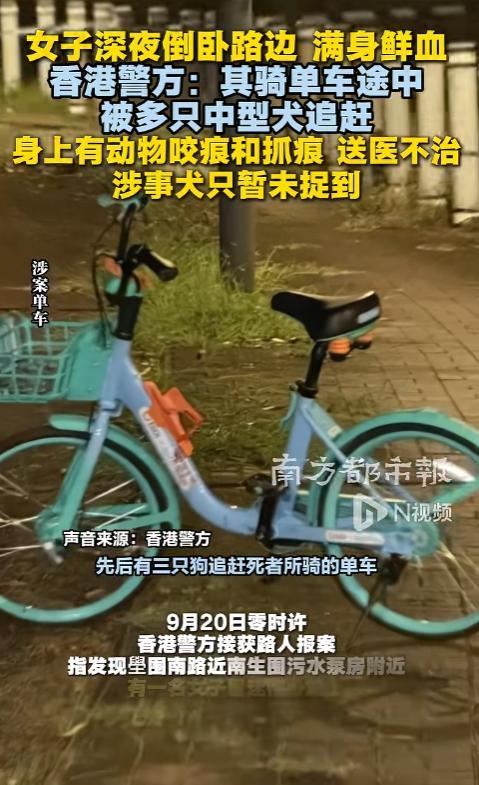 悲剧终究还是来了！香港，一名27岁的年轻姑娘，深夜骑着共享单车往家赶，就这么撞上