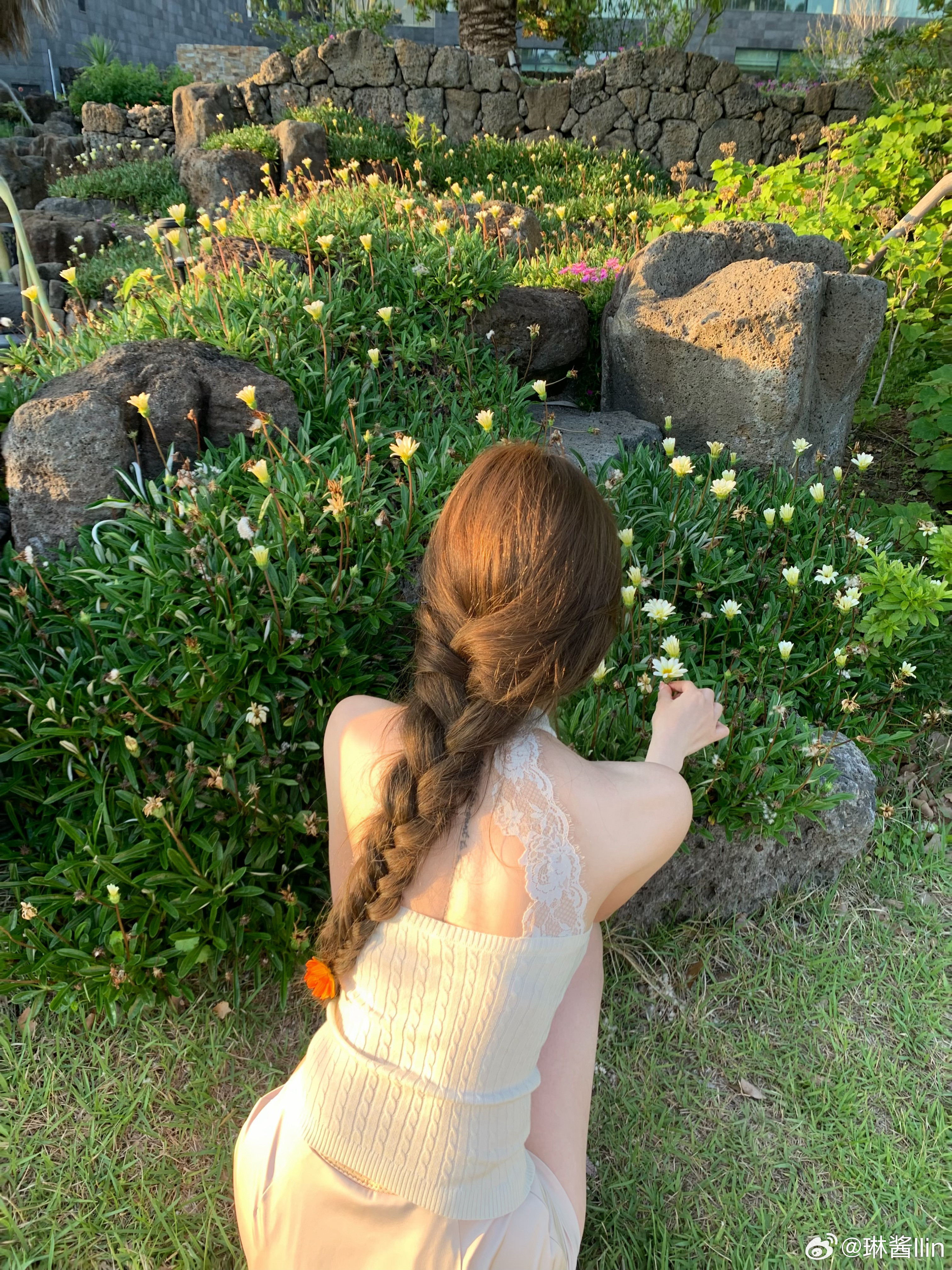 人生又何止一个夏天呢