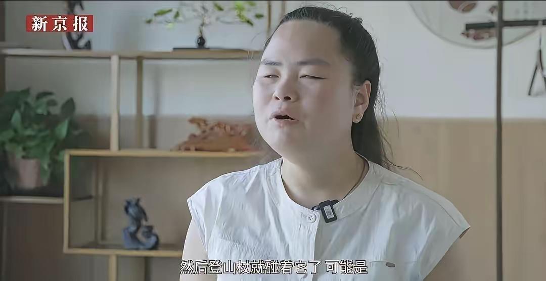 气到肝疼！王营营到现在还觉得逼导盲犬爬山没错？这哪是“被冤枉”，分明是揣着坏心思