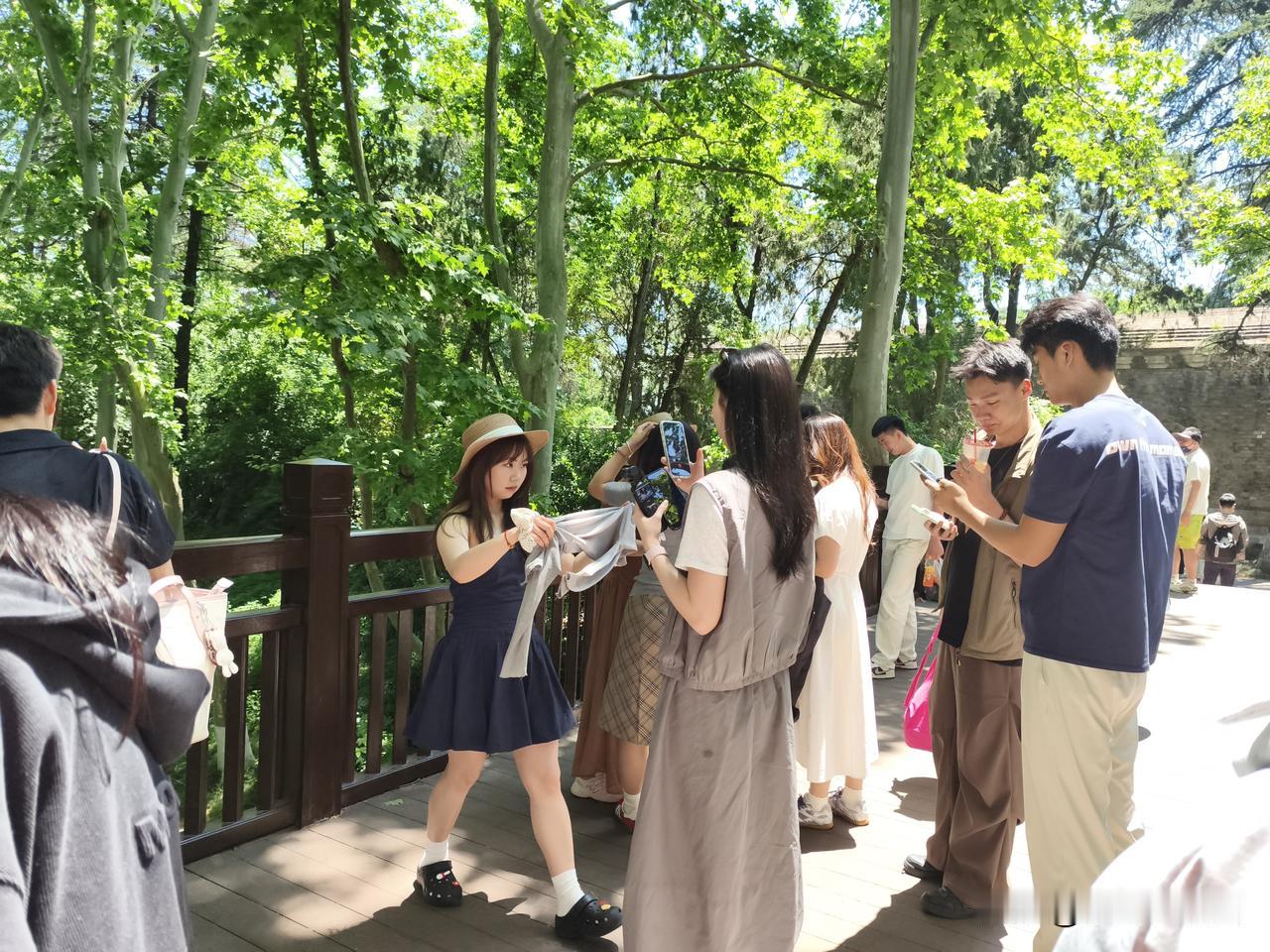 可以说钟山风景区可以打卡拍照的好地方真不少，外地游客可以问豆包就知道了[呲牙笑]