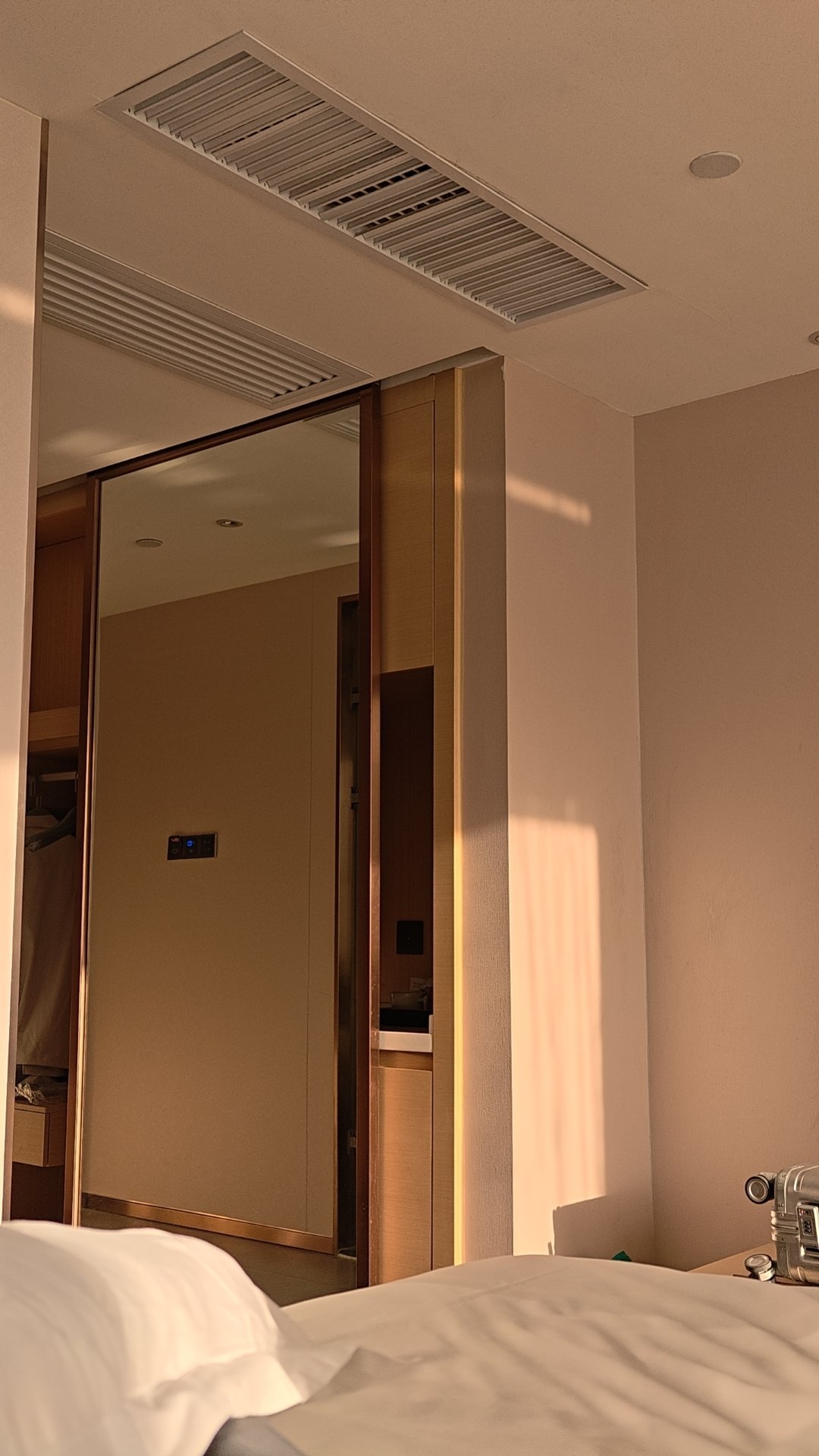 这么好的天气不做牛马可惜了蜘蛛是真的牛马