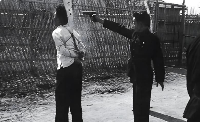 1948年冬，高邮河堤寒风刺骨，12名重伤的地下党被押赴刑场，一路枪声不断，走不