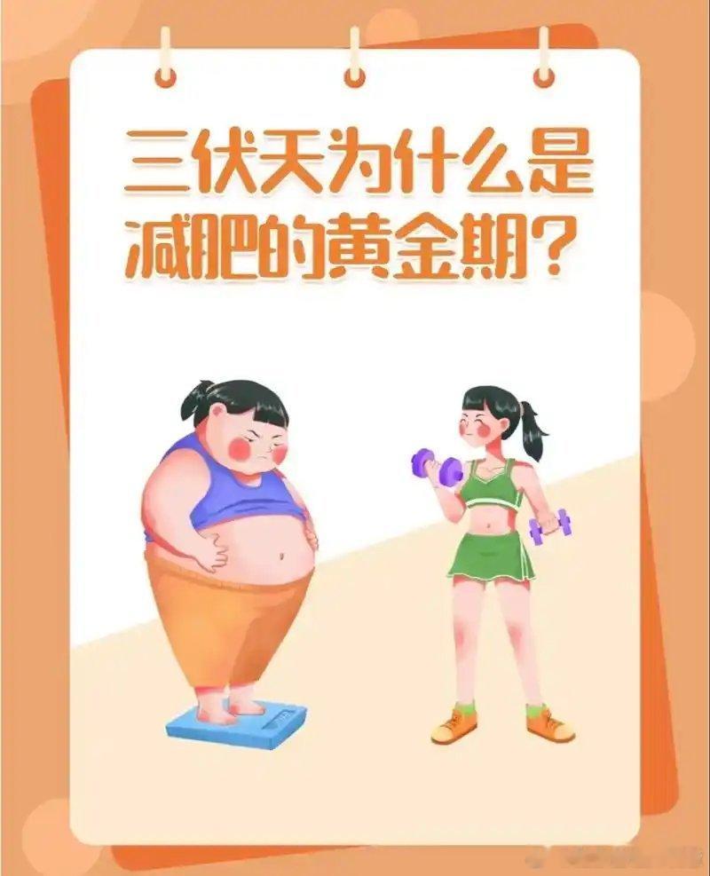 三伏天减肥全民营养提升计划三伏天是最适合减肥的好时机！理由1:高温加速代谢体