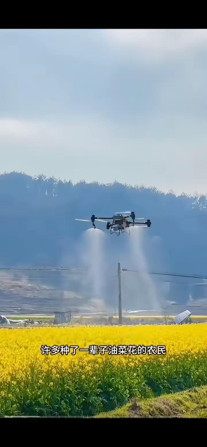 真的太离谱了！种了一辈子油菜花的农民都说花期不用打药，专家却免费派无人机直接