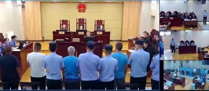 涉案金额近1.18亿！这起特大跨国走私珍贵动物制品案太让人震惊了！自2023年
