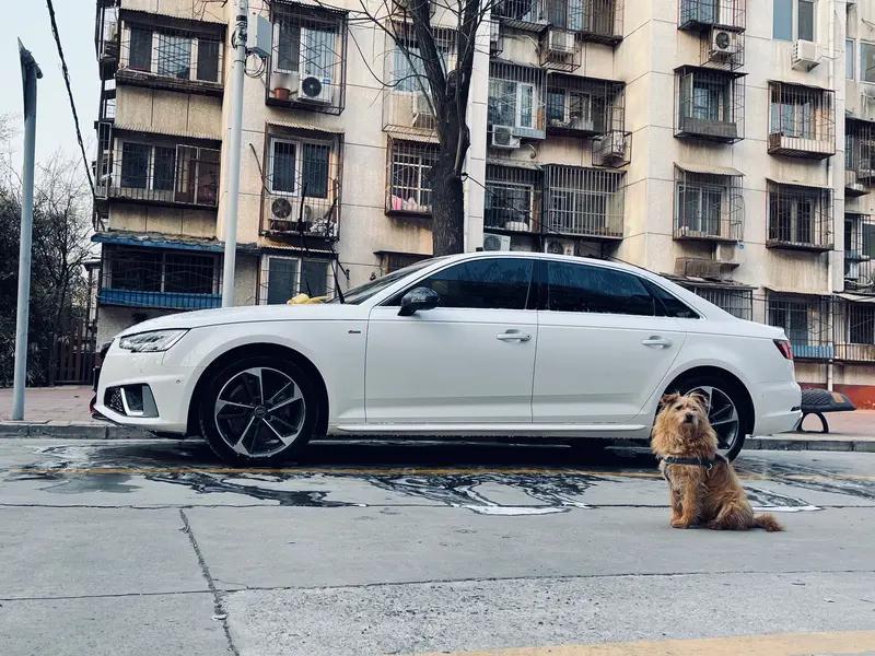 手头有35万，选特斯拉还是A4L，这得好好琢磨。特斯拉Model3高性能版大