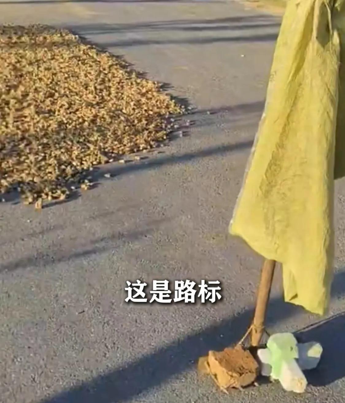 断头路中间晒花生，被车连续碾压两次！安徽滁州这起路边纠纷，彻底吵翻了全网。二三十