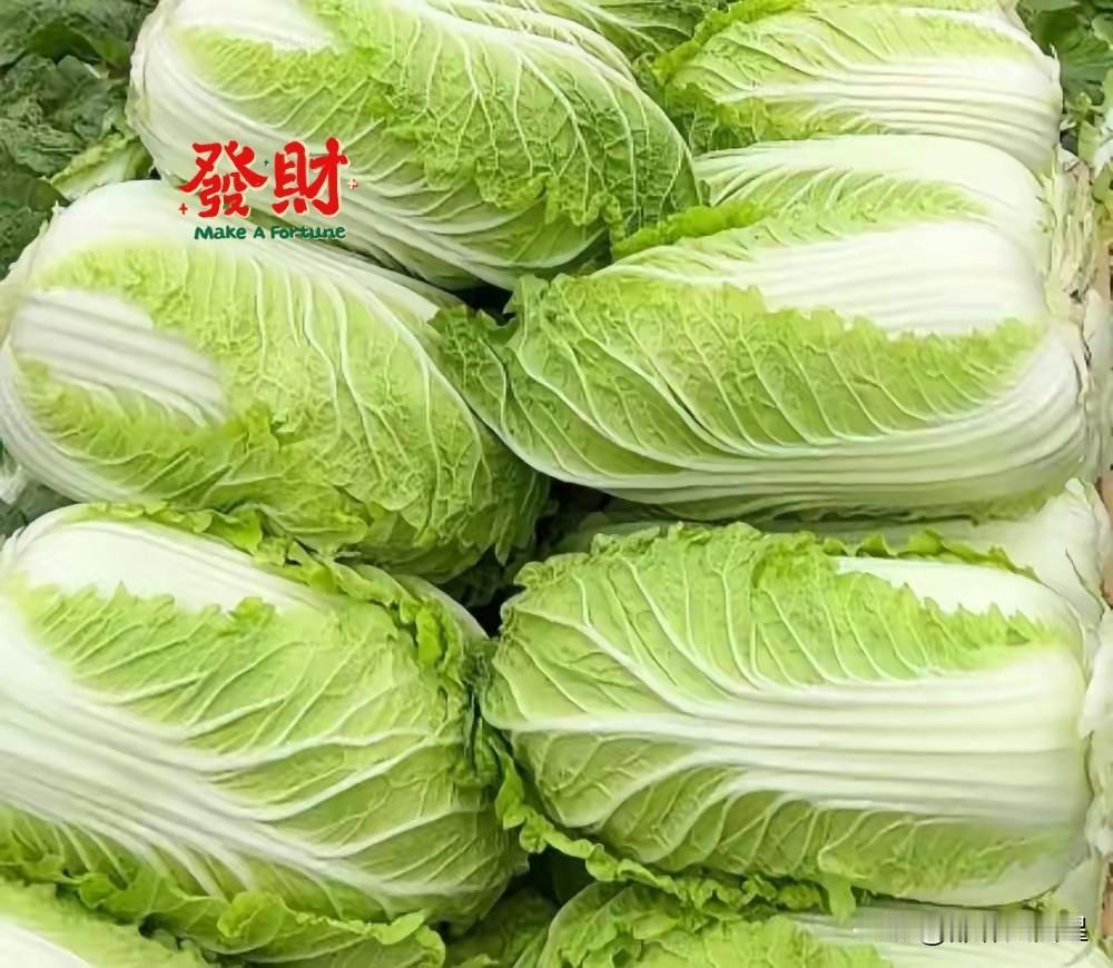 大家发现没有？现在的人们越来越学精了，白菜一涨价，人们大都不囤白菜了！近段时