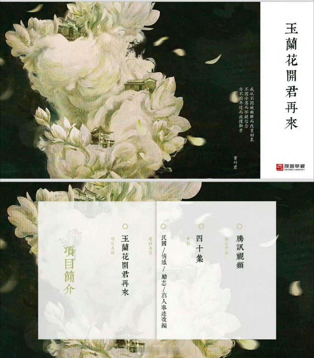 杨紫《玉兰花开君再来》人物小传这部“女性励志大剧”有历史原型，10月开机[求关注