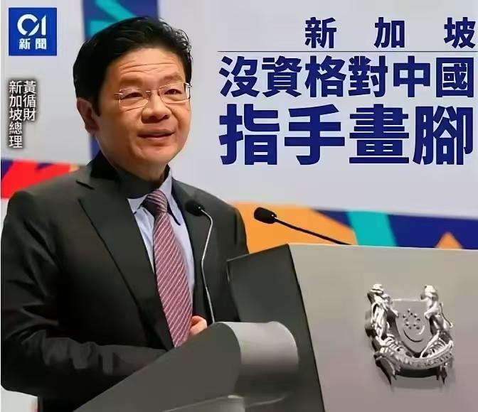 新加坡总理继之前偏袒日本之后，居然又提出了一个主张，让日本自卫队进入东南亚“维持