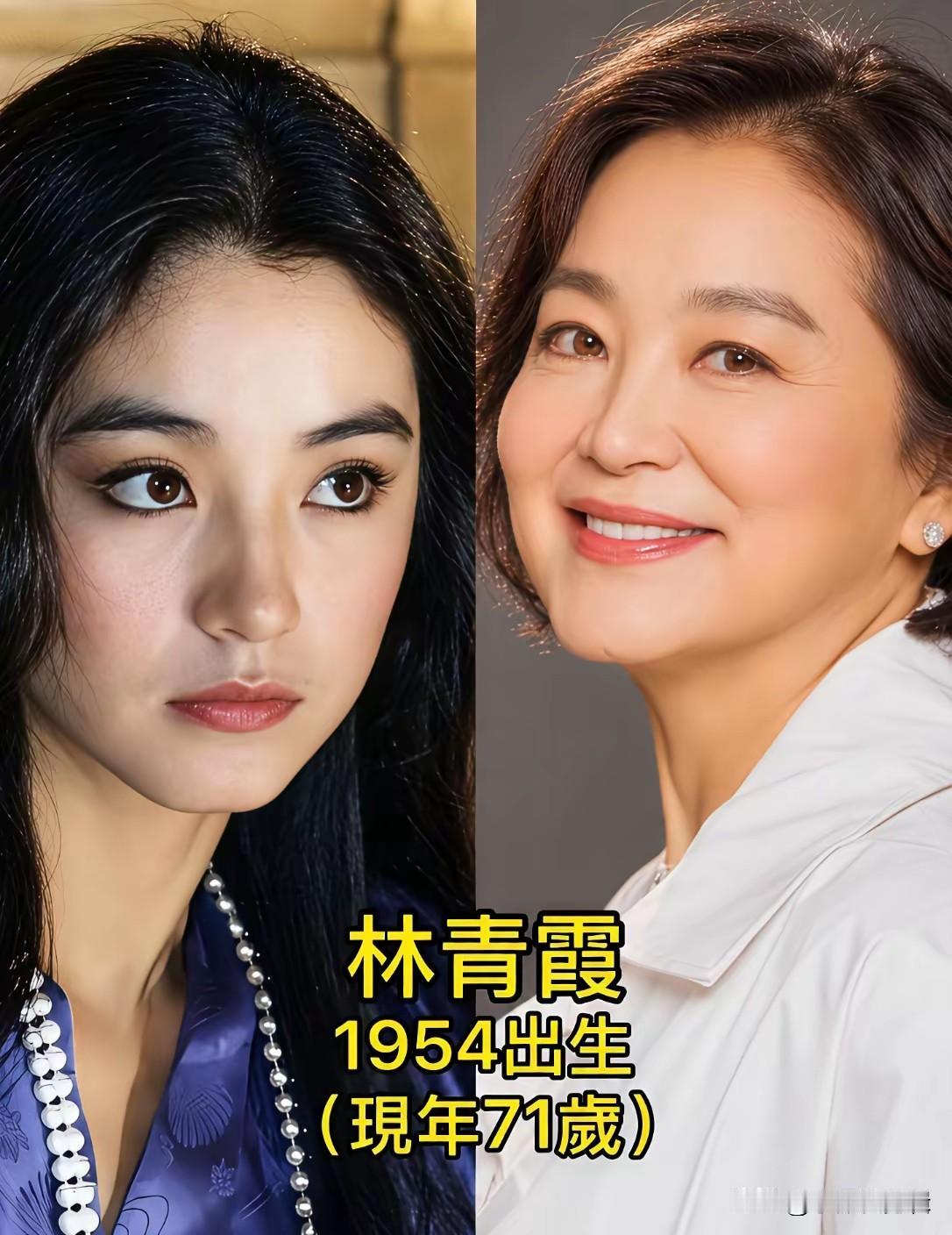 林青霞英气十足，可盐可甜胡因梦气质清冷，自带书卷气林凤娇温婉柔和，是典型的传