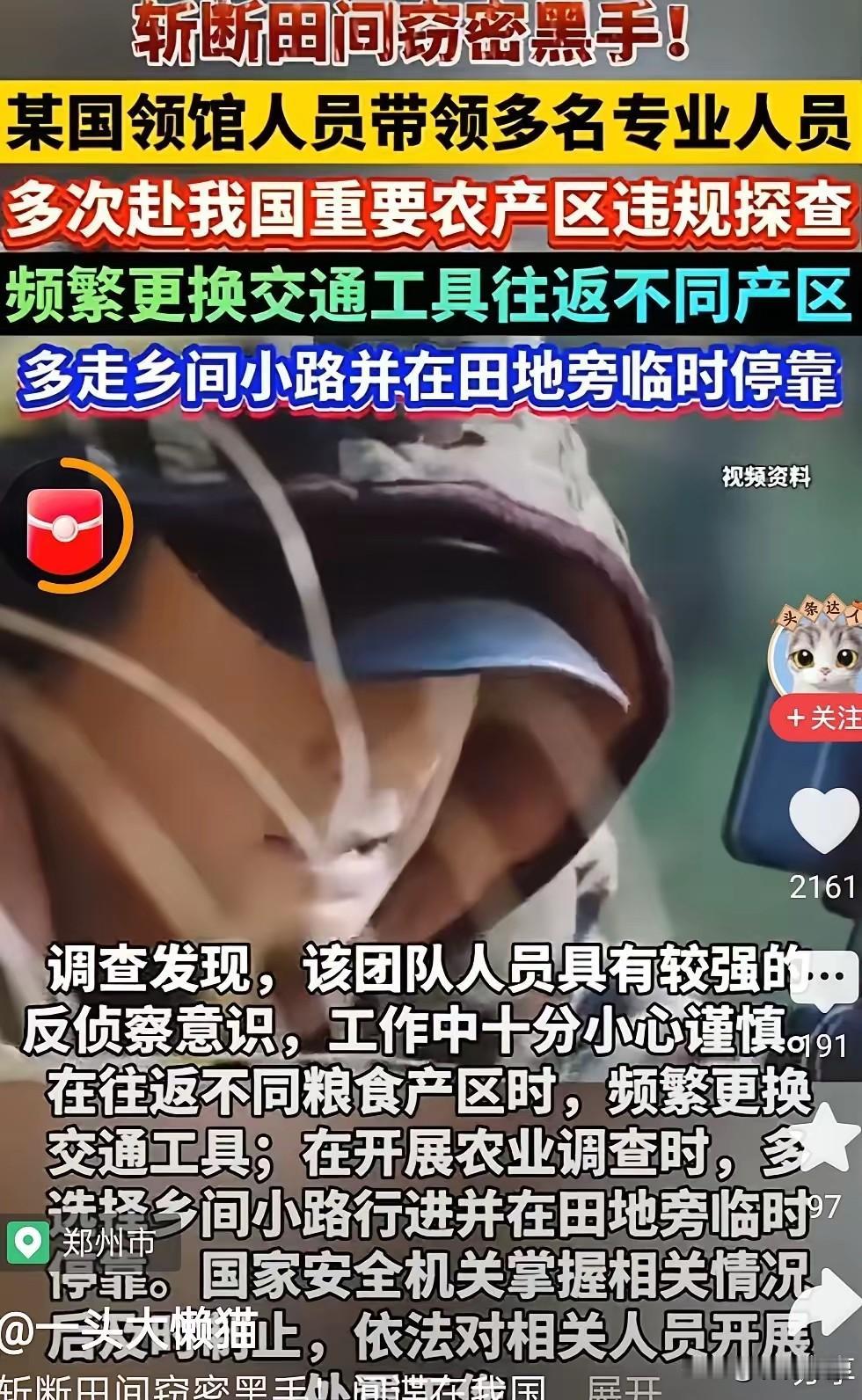 敢打中国粮食的主意？这是动我们14亿人的根，绝对不能忍！粮食安