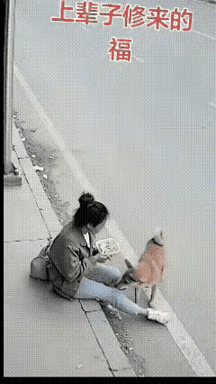 真被这只狗狗破防了！它不会说话，却用最“叛逆”的举动，救了主人一命