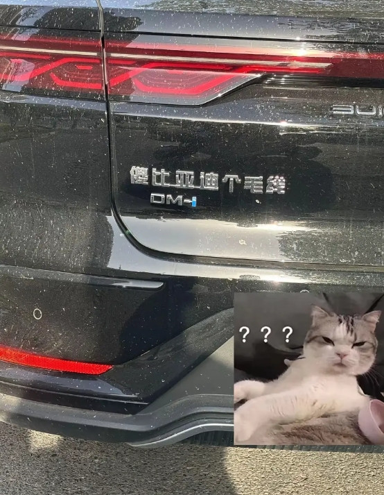 这应该是最具攻击性的一辆车了..