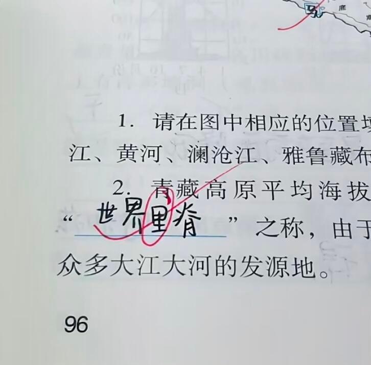 感觉知识以一种邪门的方式灌入脑袋​​​