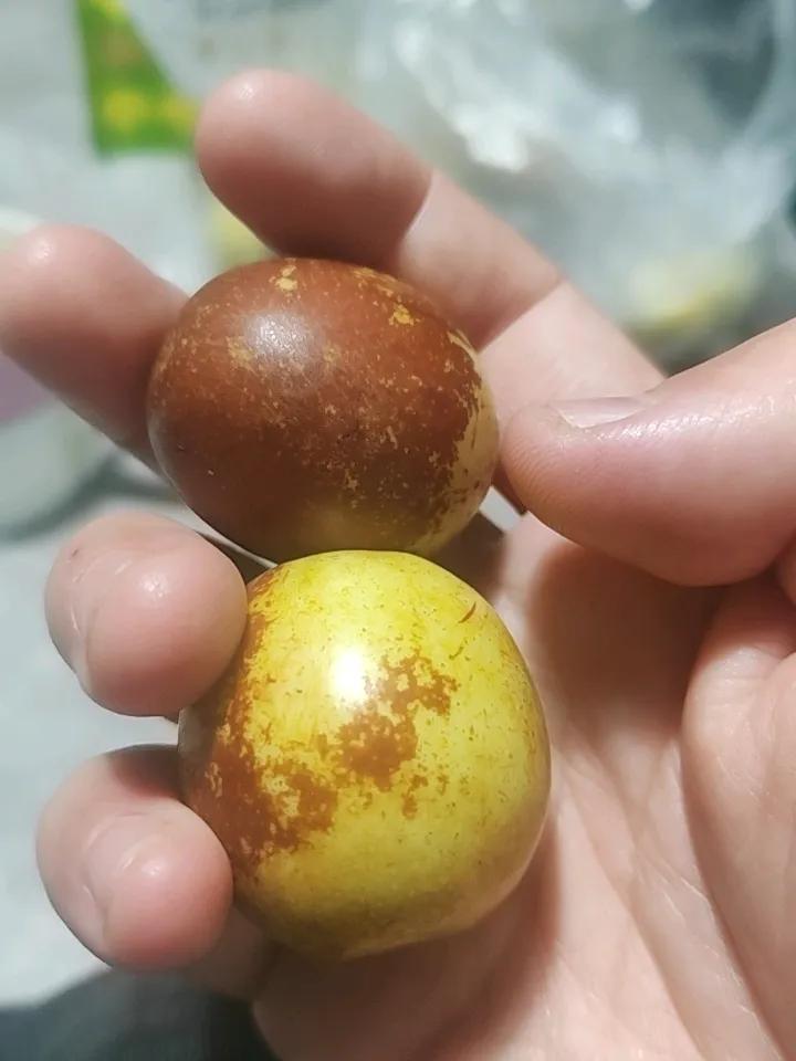 秋季天气转凉，吃点好吃的吧哈哈