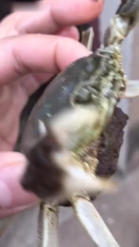 4570400554355798547.jpg?id=0