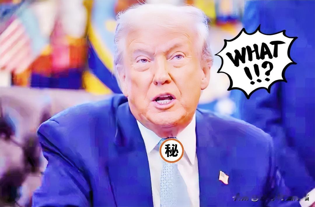 快讯：就在12月11日！特朗普拒参会放重磅话，3500亿援乌打水漂？背后藏变局