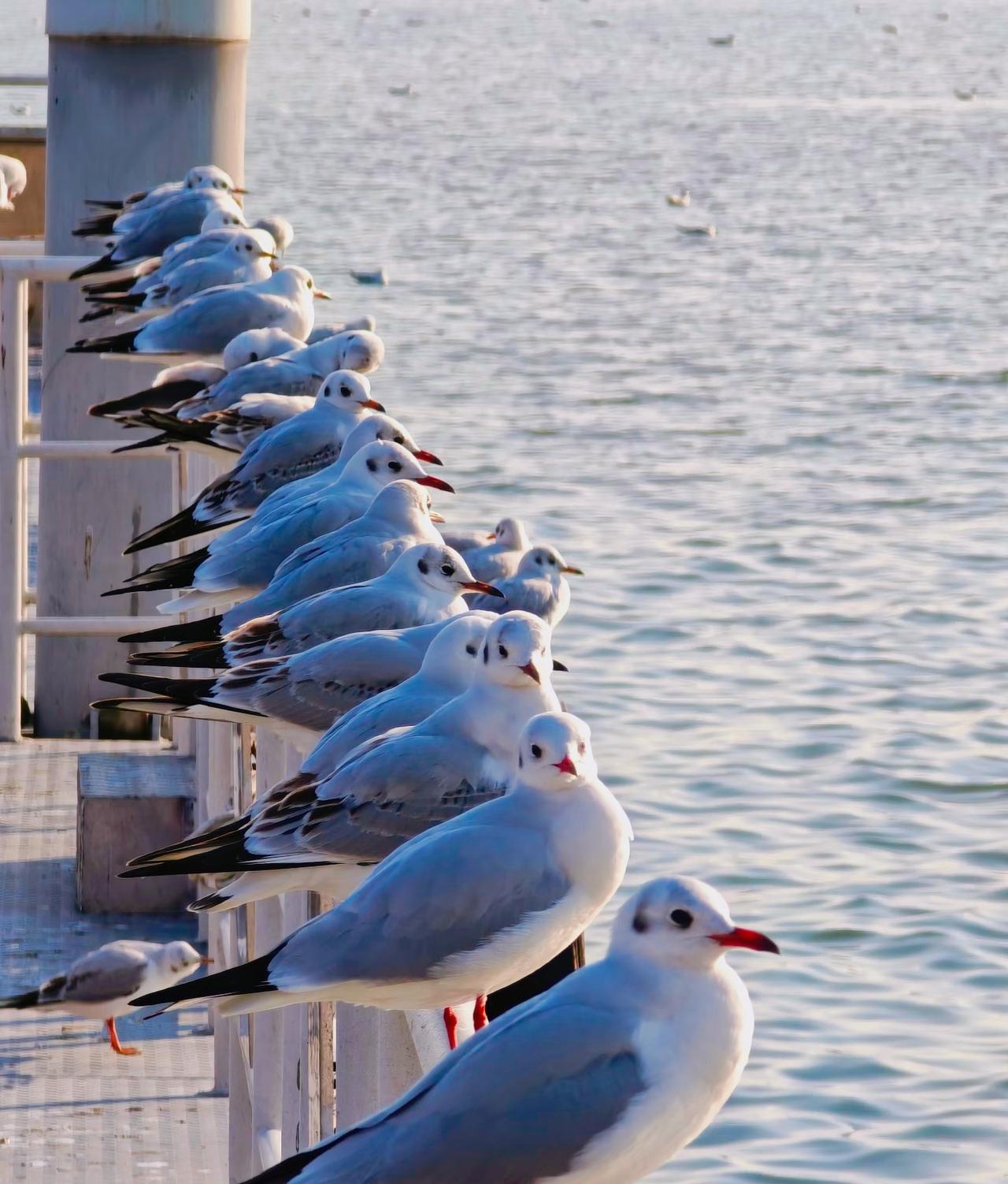 刘震云：）想要多活几年，不是吃好喝好，也不是多做运动，而是把自己的状态藏起来，