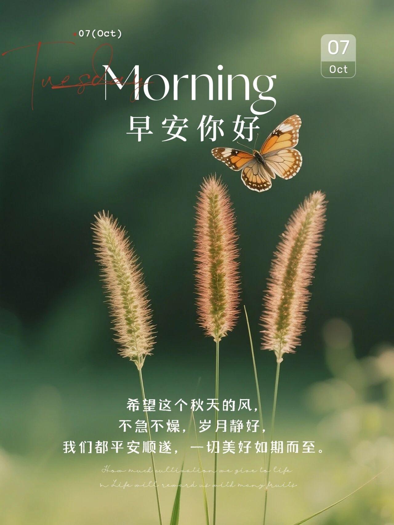秋风起，雁南飞，思念也悄悄发芽。柴米油盐酱醋茶，件件都是烟火幸福。得七分智慧