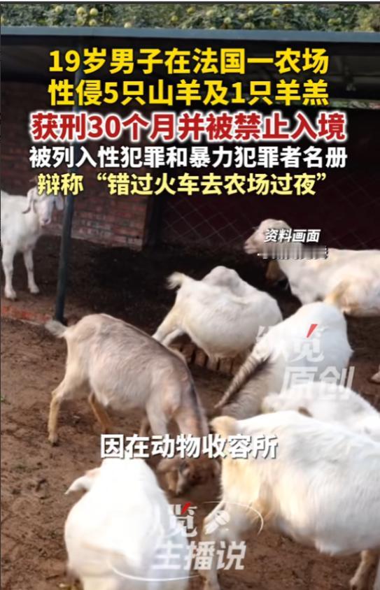 离谱到家了！法国这名男子的操作，正常人根本想不出来。6月24日外媒曝出一件荒唐事